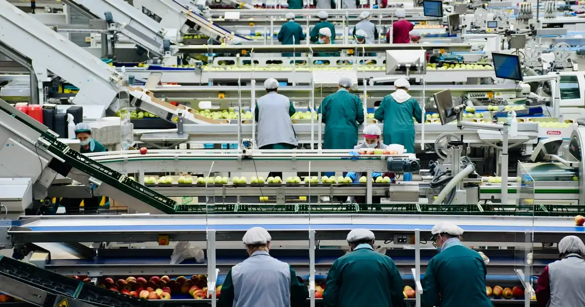 Cum alegi un ERP pentru o firmă de producție: 5 pași